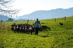 Agroturistika kozí farma Rožnov pod Radhoštěm